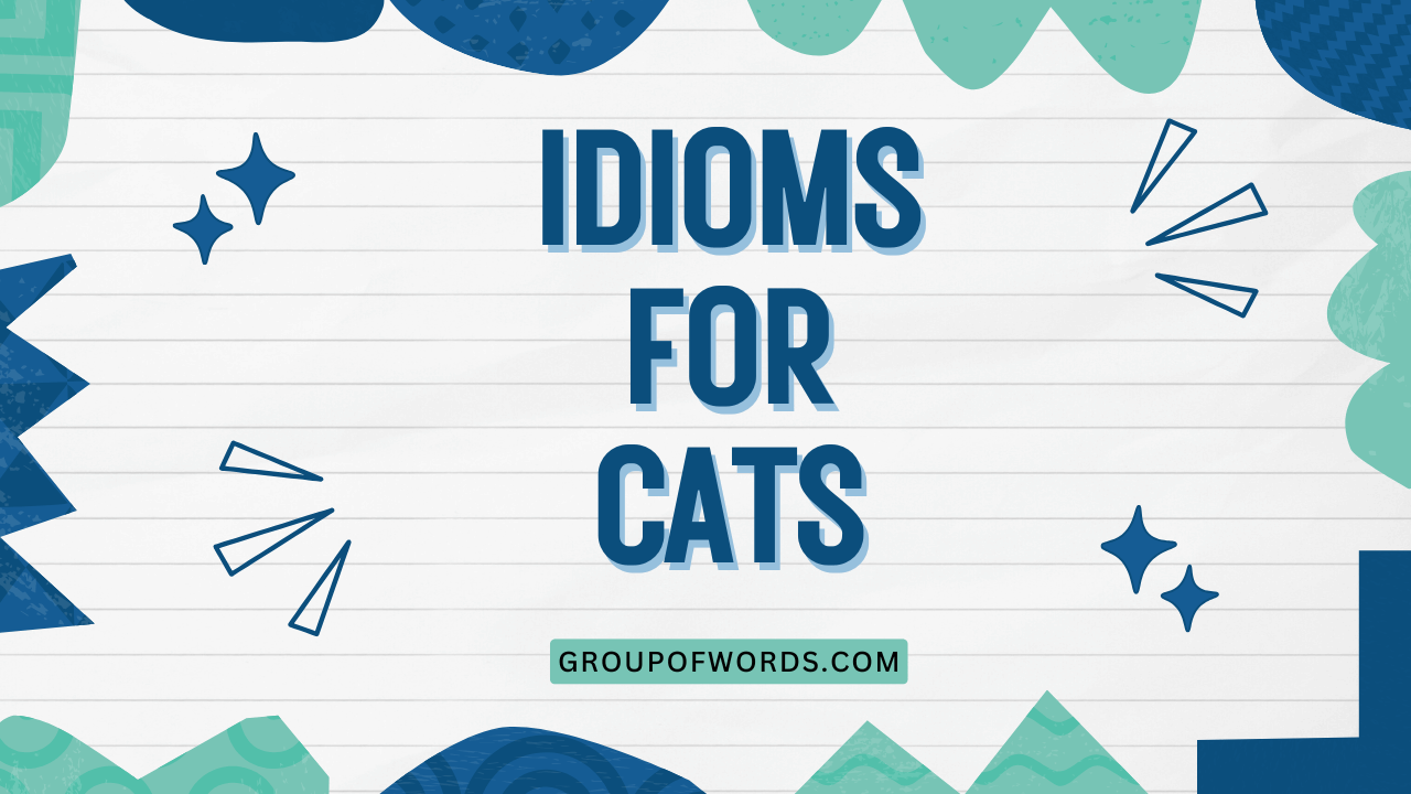 Idioms for Cats