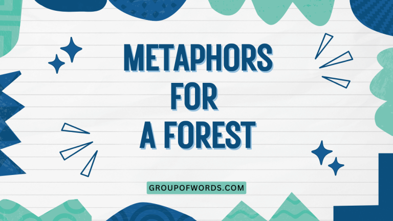Metaphors for a Forest