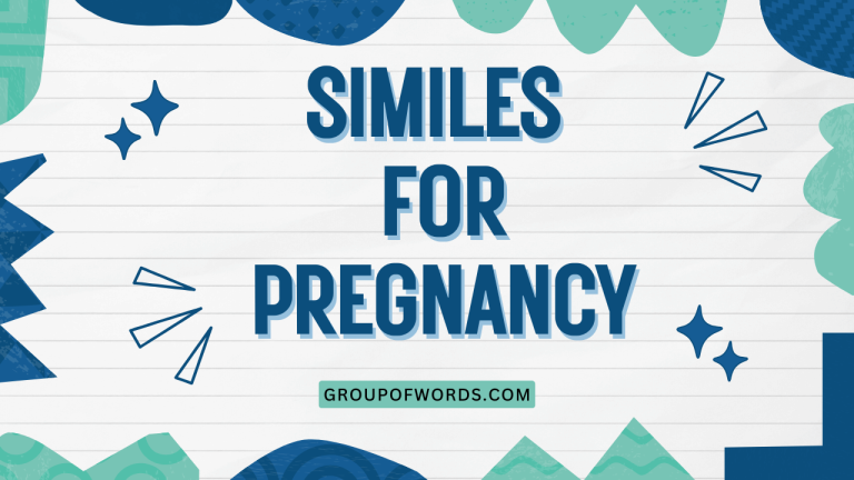 Similes for Pregnancy