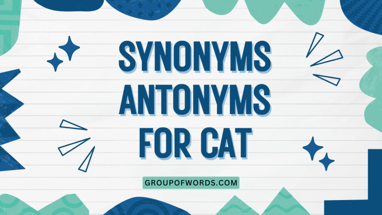 Synonyms Antonyms for Cat