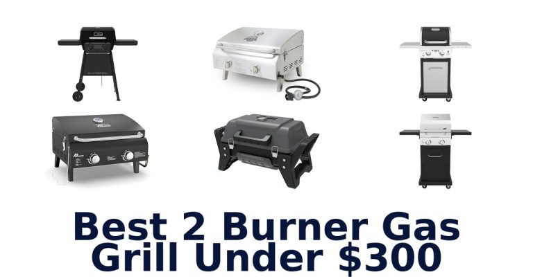 best 2 burner gas grill under $300