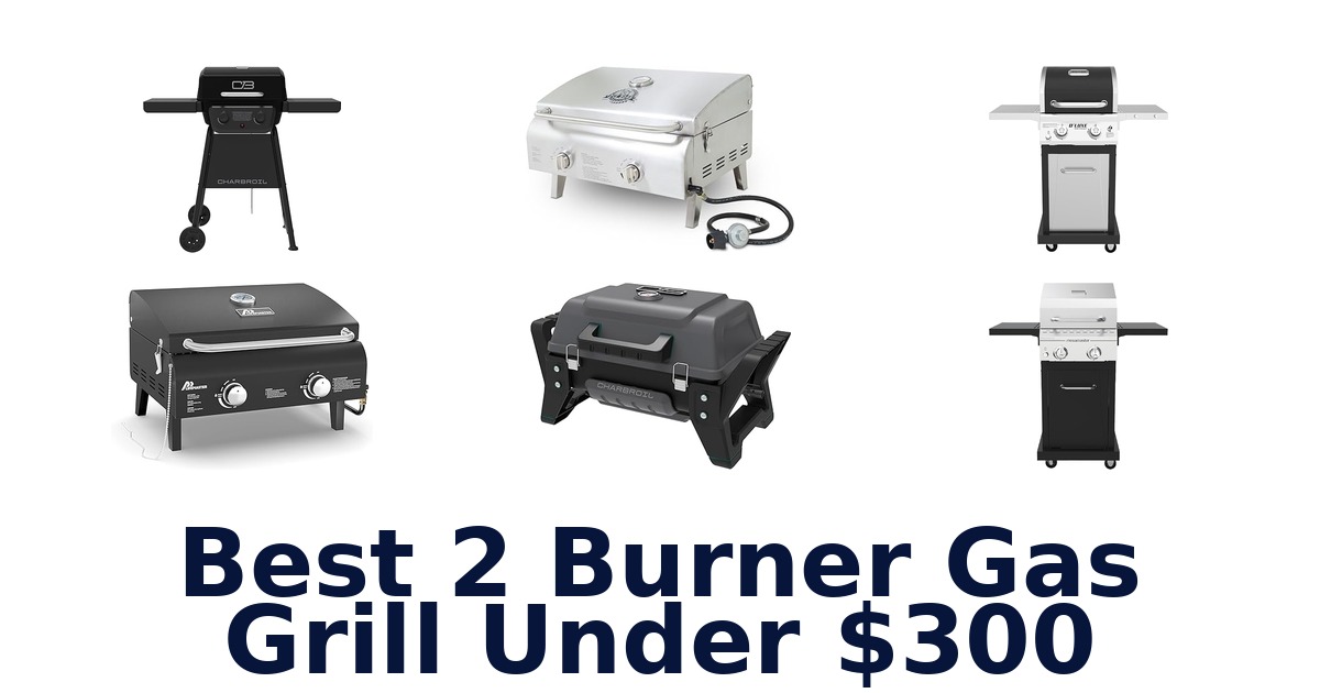 best 2 burner gas grill under $300