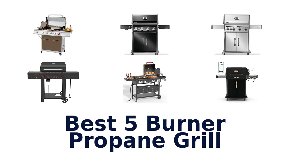 best 5 burner propane grill