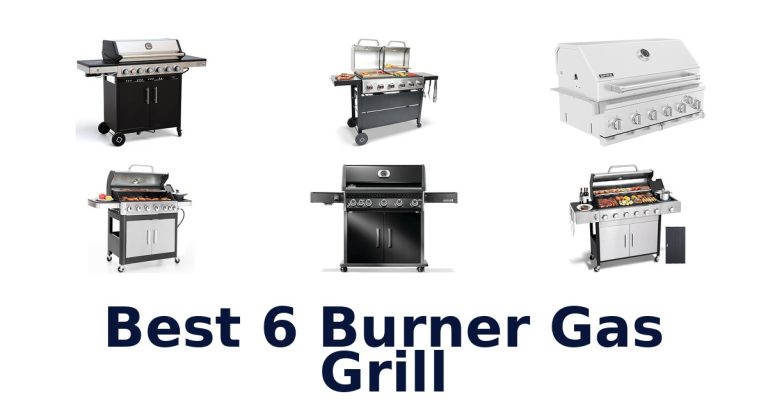 best 6 burner gas grill
