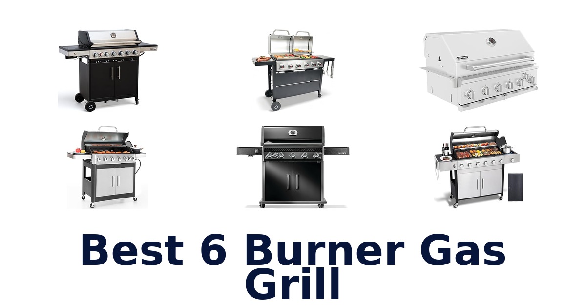 best 6 burner gas grill
