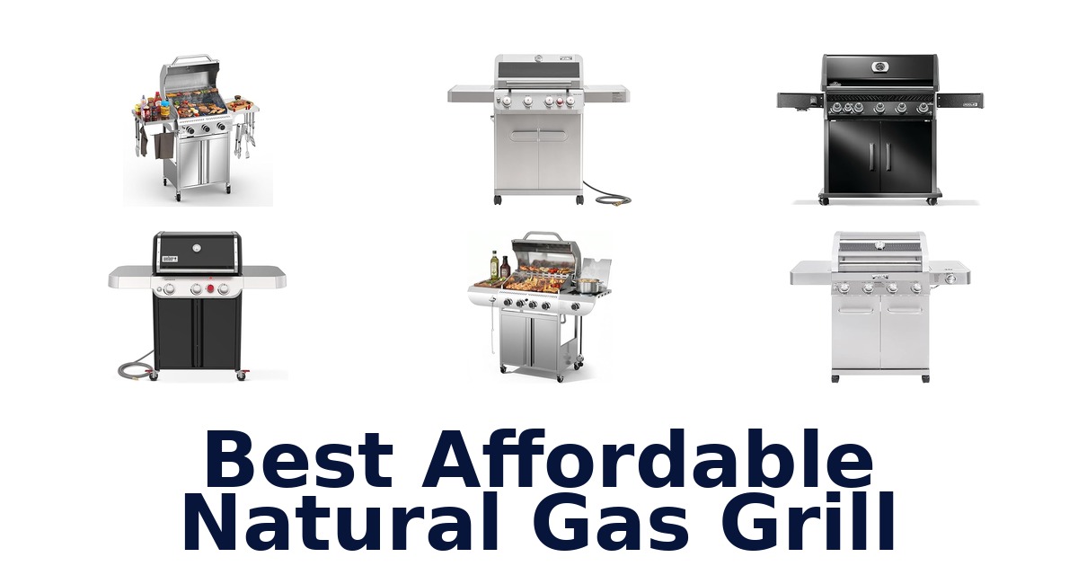 best affordable natural gas grill