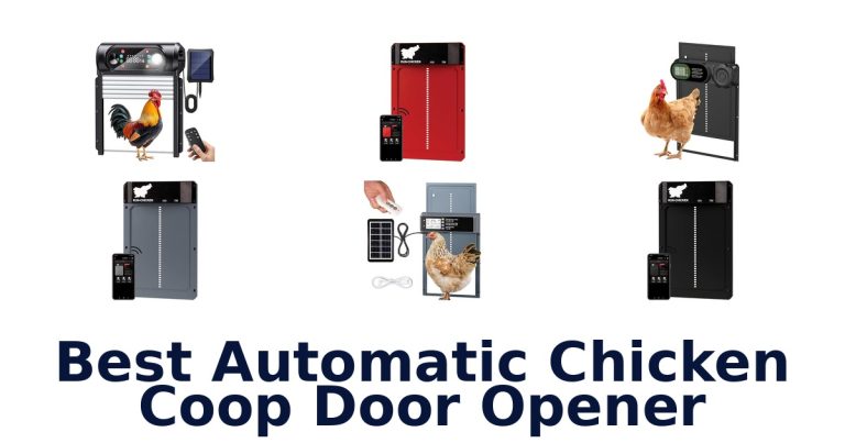 best automatic chicken coop door opener