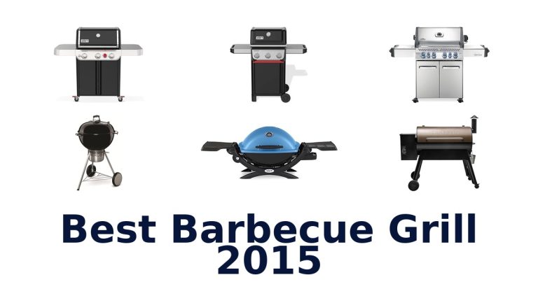 best barbecue grill 2015