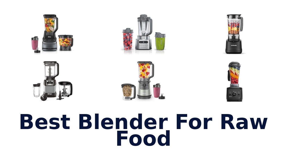 best blender for raw food