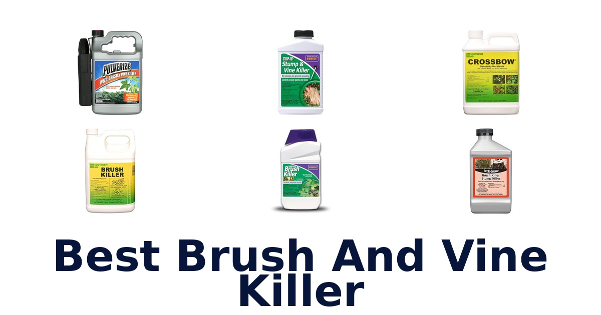 best brush and vine killer