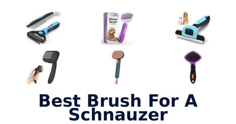 best brush for a schnauzer