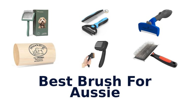 best brush for aussie