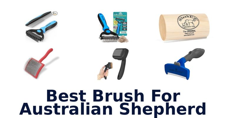 best brush for australian shepherd