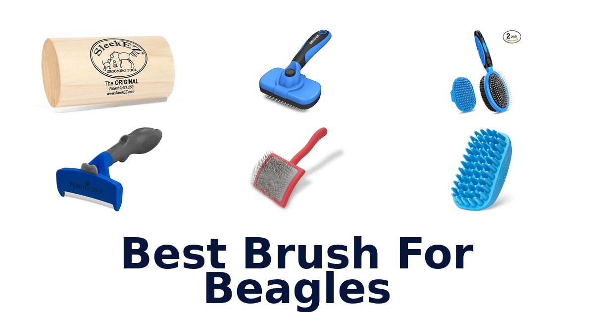 best brush for beagles