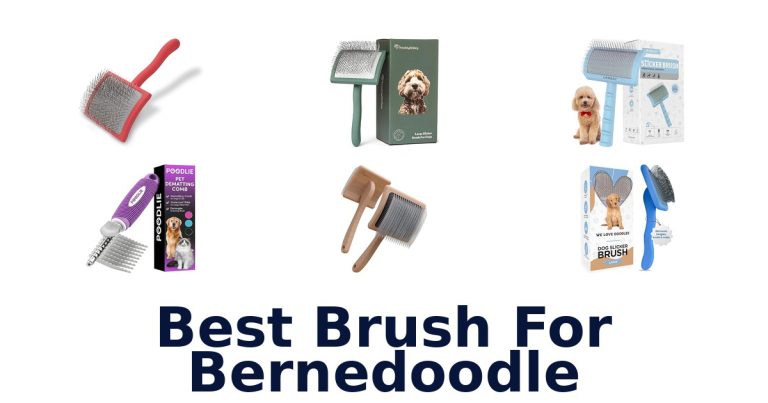 best brush for bernedoodle