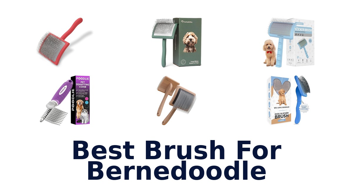 best brush for bernedoodle