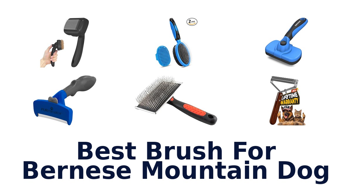 best brush for bernese mountain dog