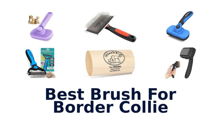 best brush for border collie