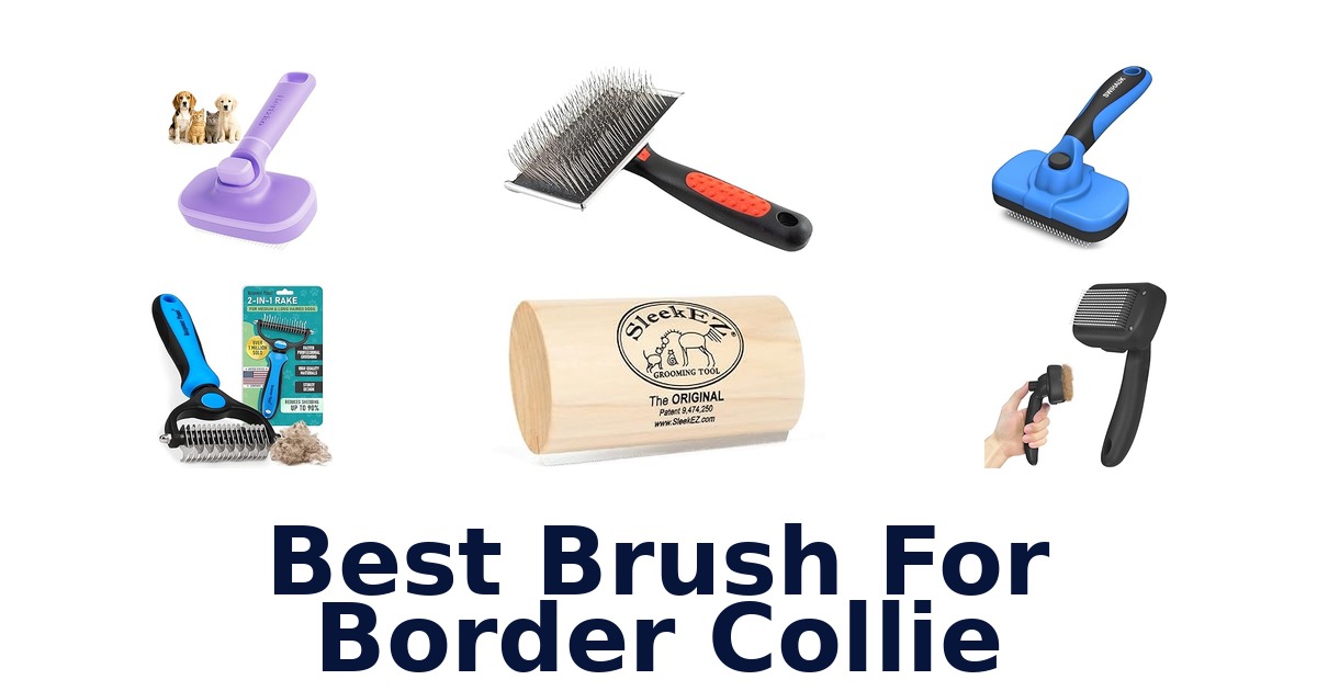 best brush for border collie