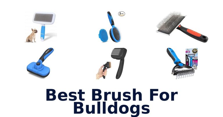 best brush for bulldogs