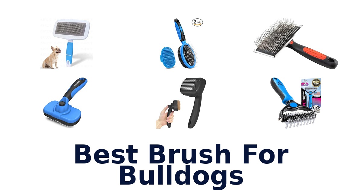 best brush for bulldogs
