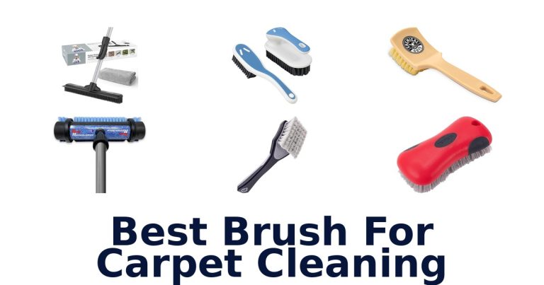 best brush for carpet cleaning