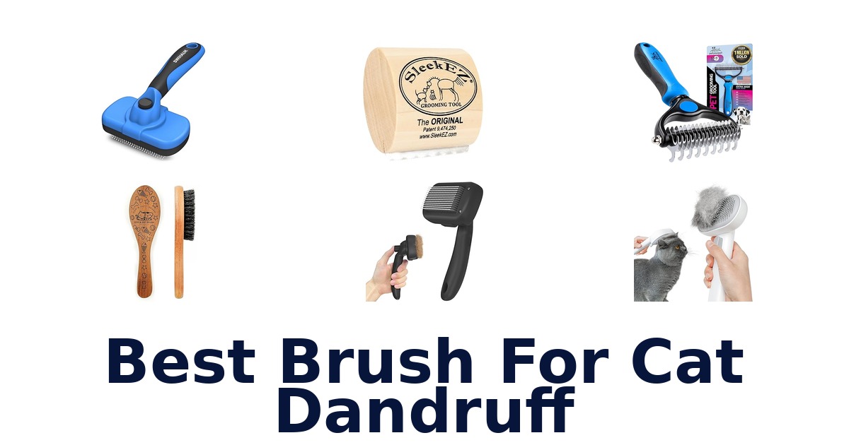 best brush for cat dandruff