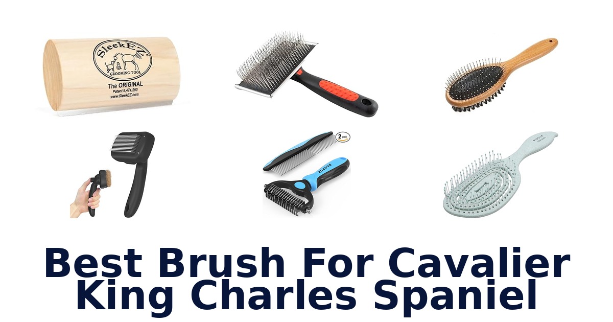 best brush for cavalier king charles spaniel