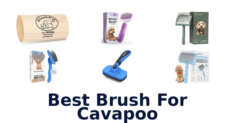 best brush for cavapoo