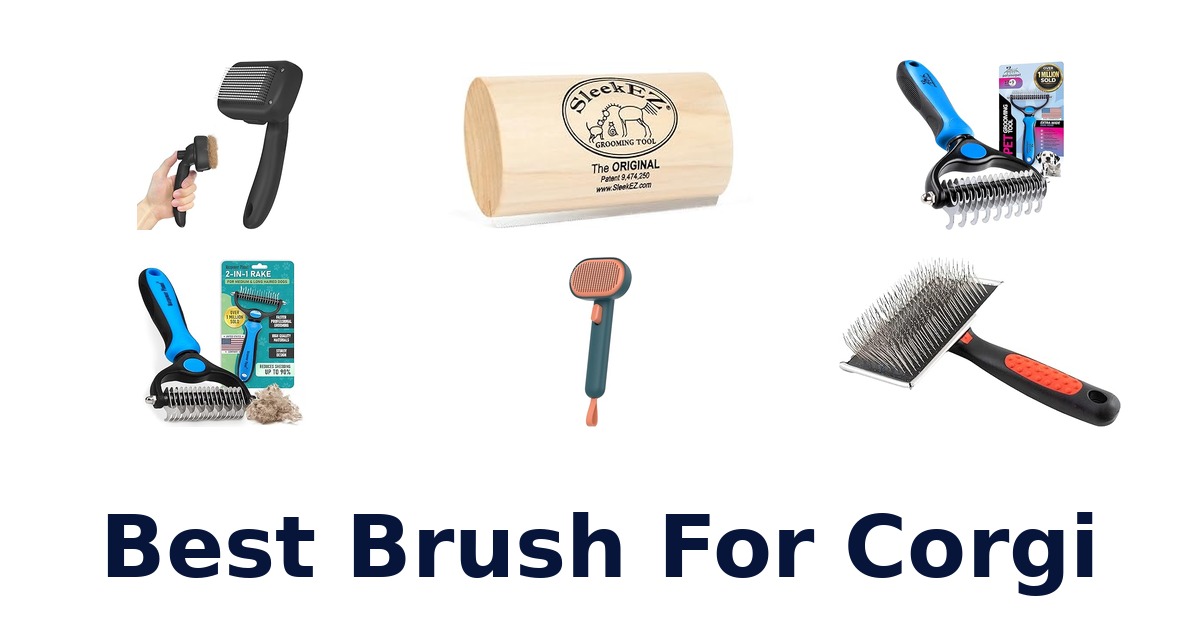 best brush for corgi