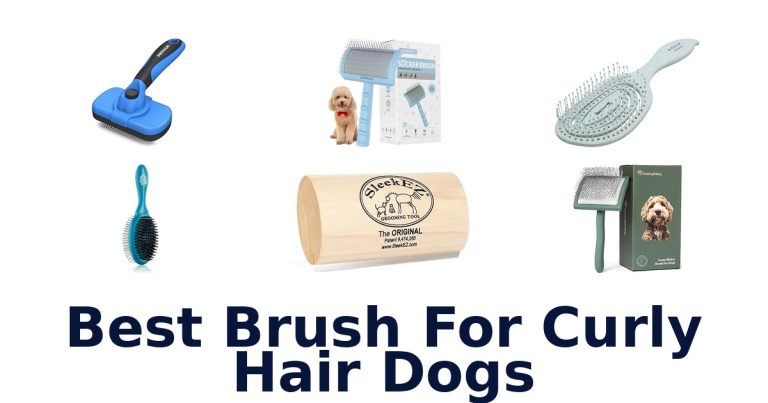 best brush for curly hair dogs