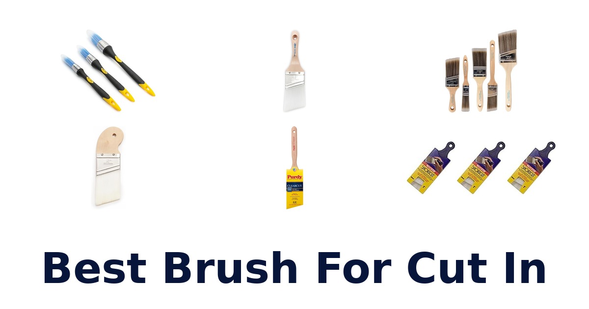 best brush for cut in