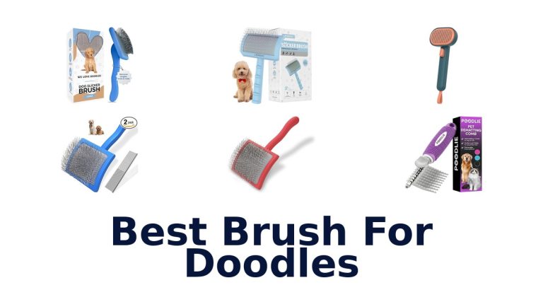 best brush for doodles