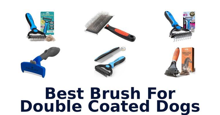 best brush for double coated dogs