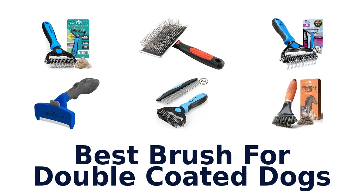 best brush for double coated dogs
