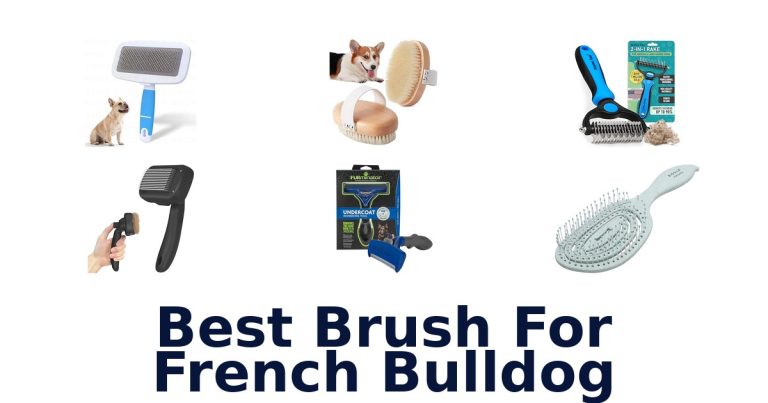 best brush for french bulldog
