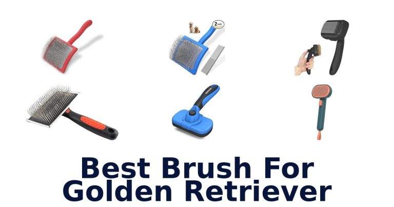 best brush for golden retriever