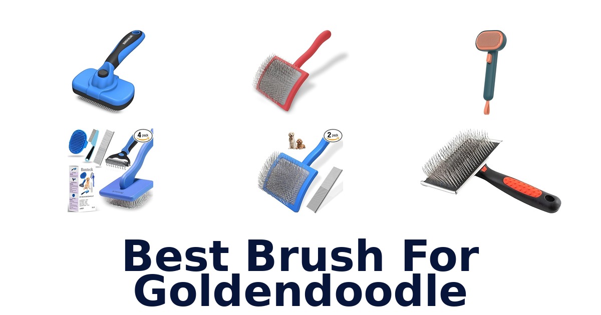 best brush for goldendoodle