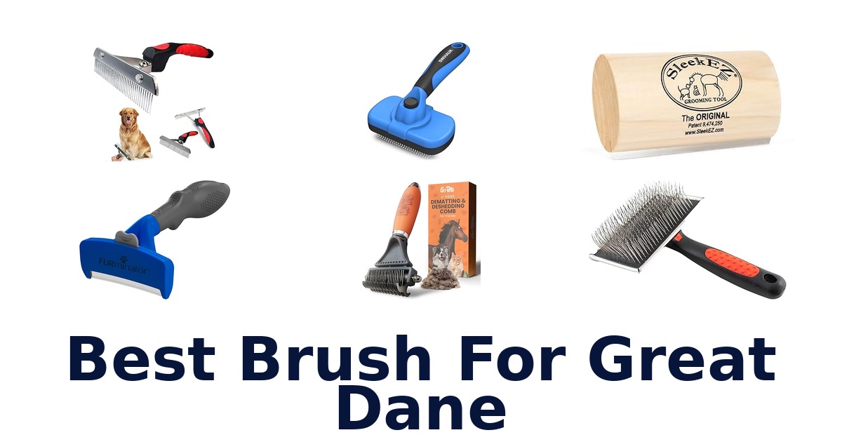 best brush for great dane