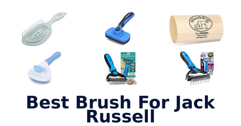 best brush for jack russell