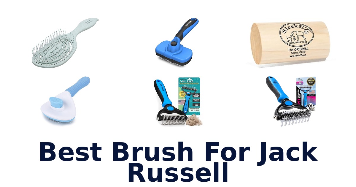 best brush for jack russell