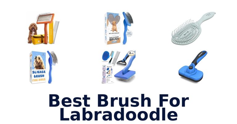best brush for labradoodle