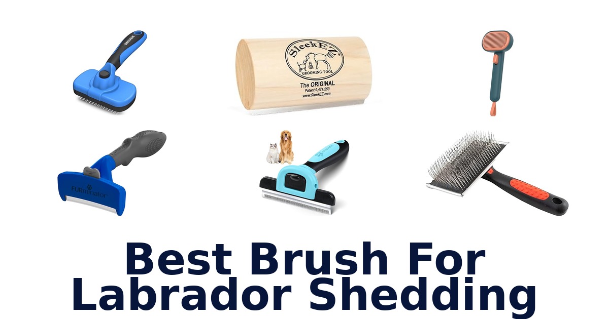 best brush for labrador shedding