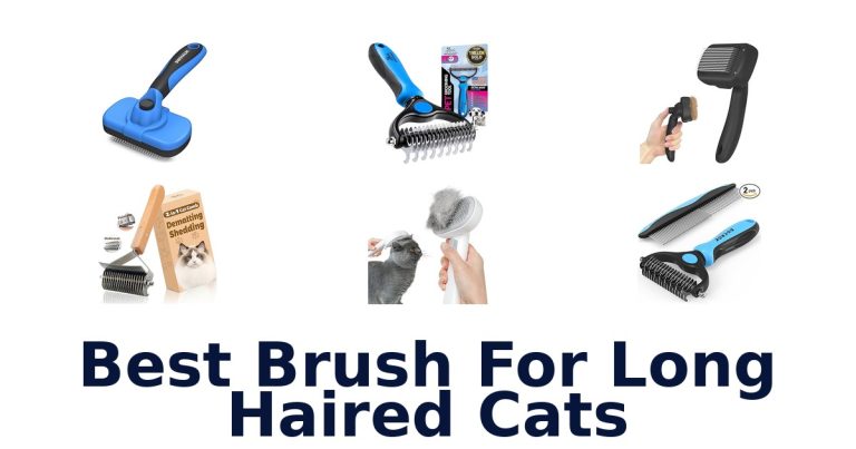 best brush for long haired cats