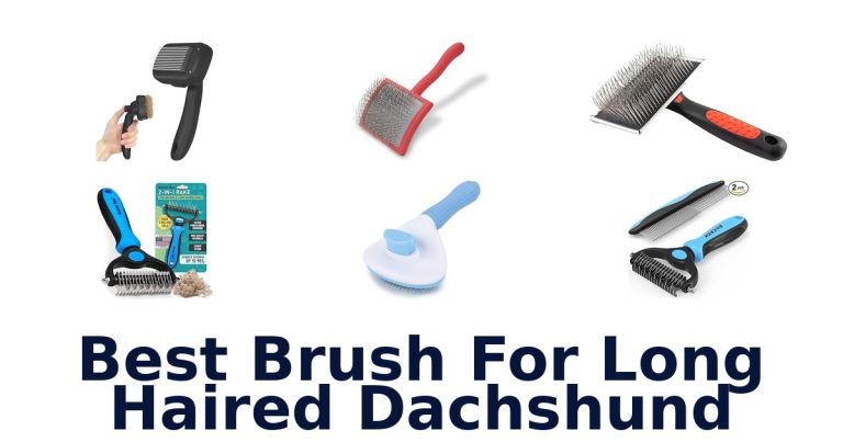 best brush for long haired dachshund
