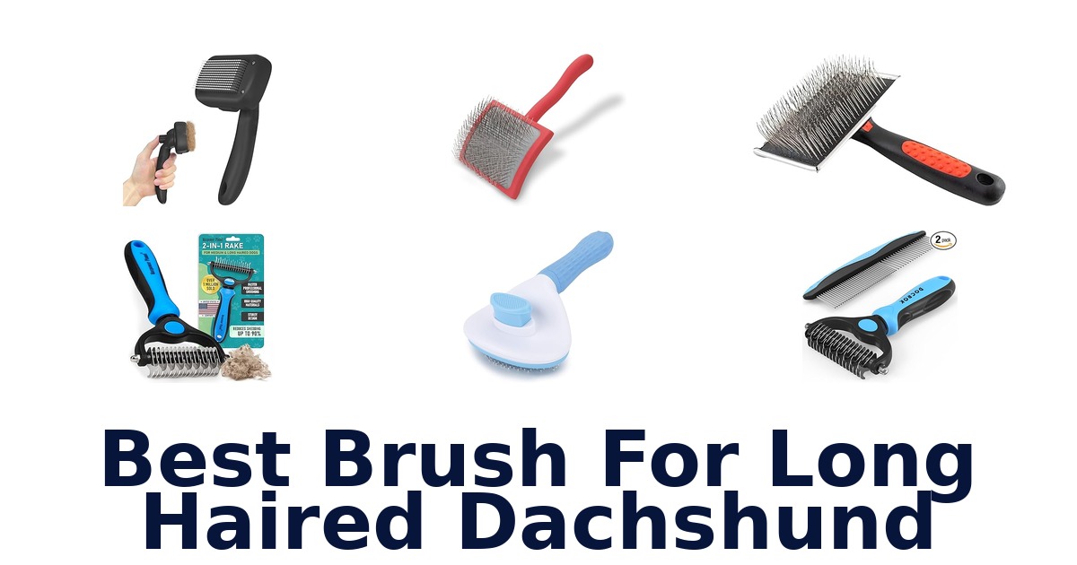 best brush for long haired dachshund
