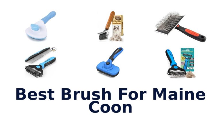 best brush for maine coon