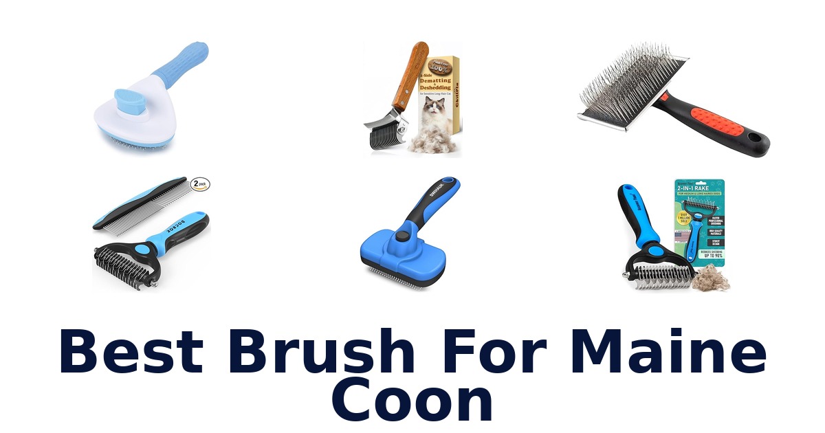 best brush for maine coon
