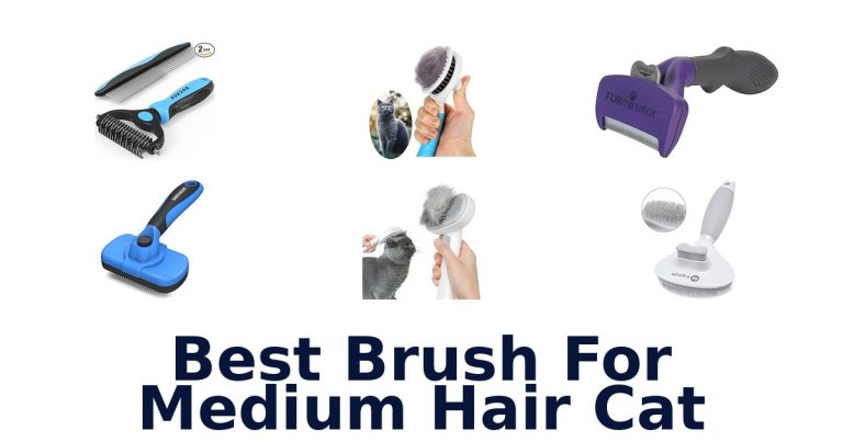 best brush for medium hair cat