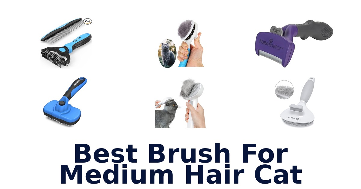 best brush for medium hair cat